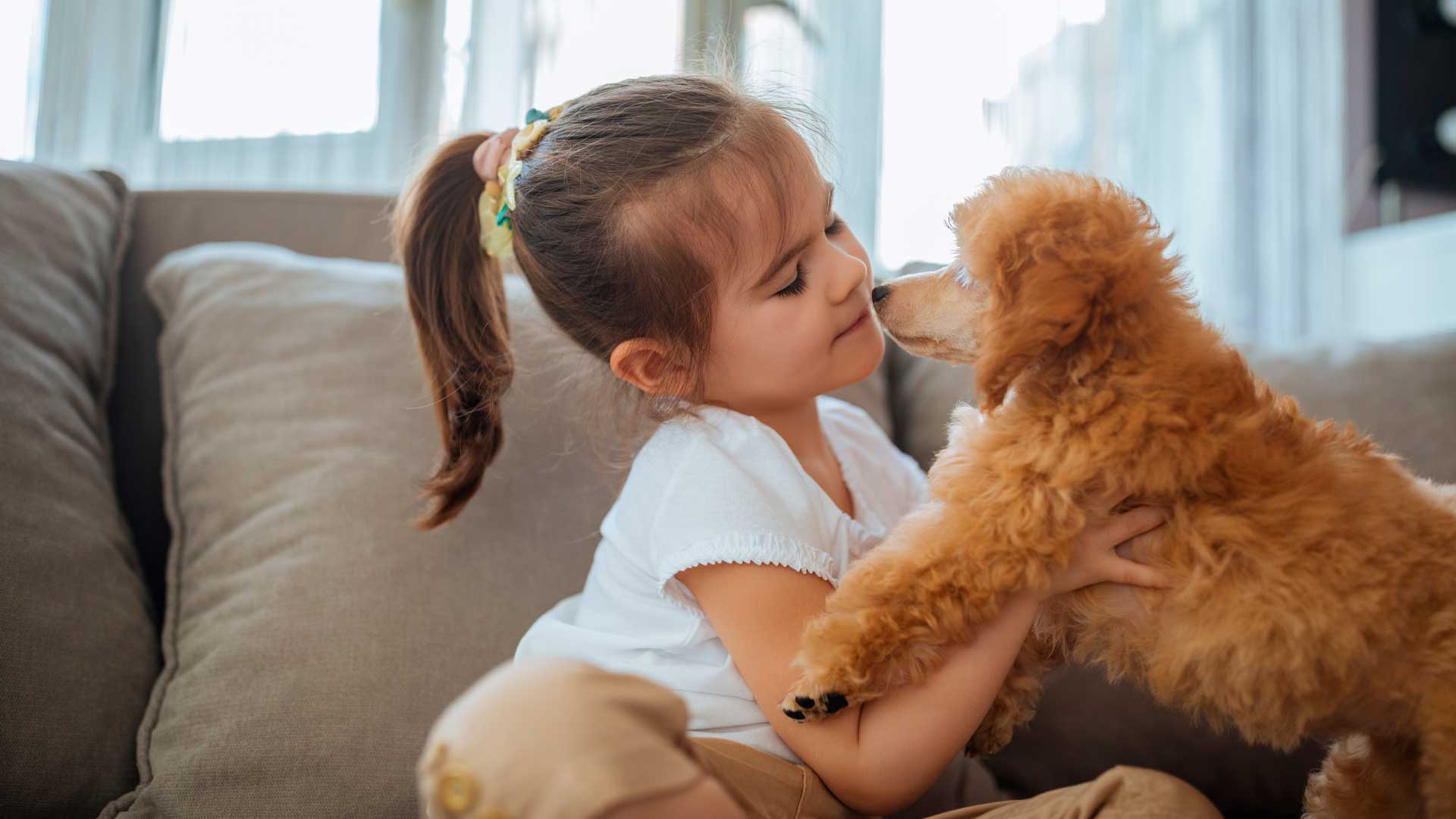 Poodles: The Perfect Dog For Families With Kids