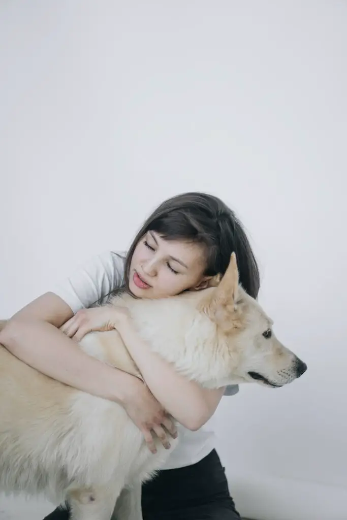 Do Huskies Like To Cuddle? [2023 Explainer]